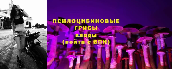 ПСИЛОЦИБИНОВЫЕ ГРИБЫ Вяземский